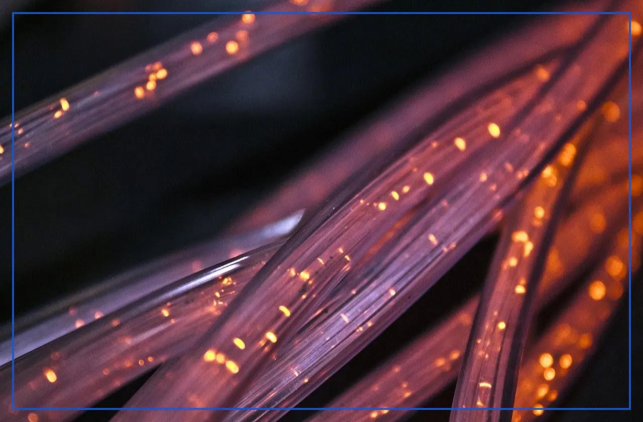Close-up of glowing fiber optic cables