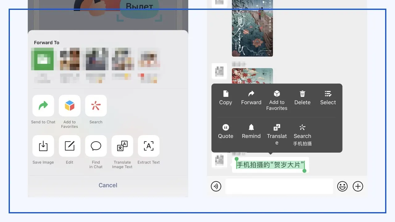 WeChat menus to translate image text, extract text and translate a chat message