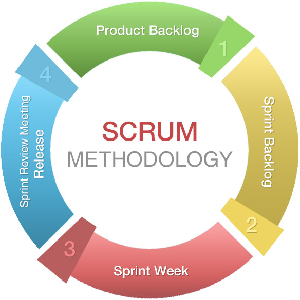 Scrum методология управления проектами